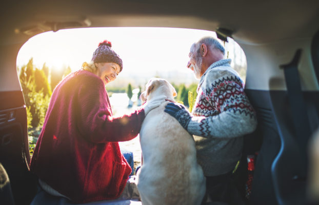 A short guide to state pension top-ups