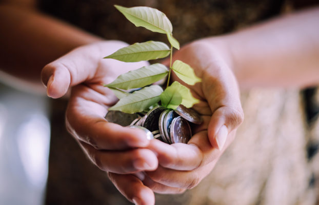 Fees to look out for when investing